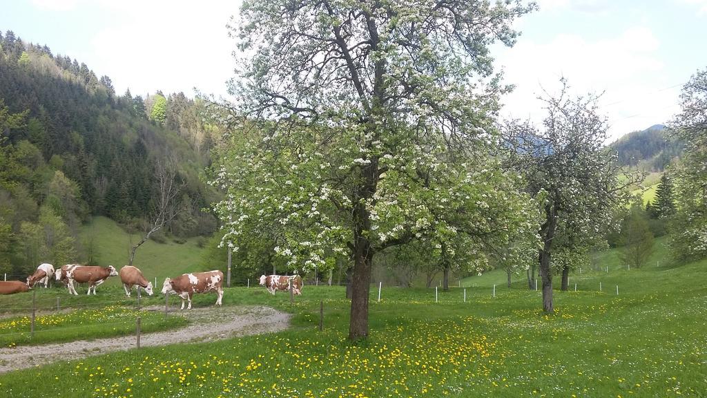 Eggbauer Vila Sankt Anton an der Jessnitz Exterior foto